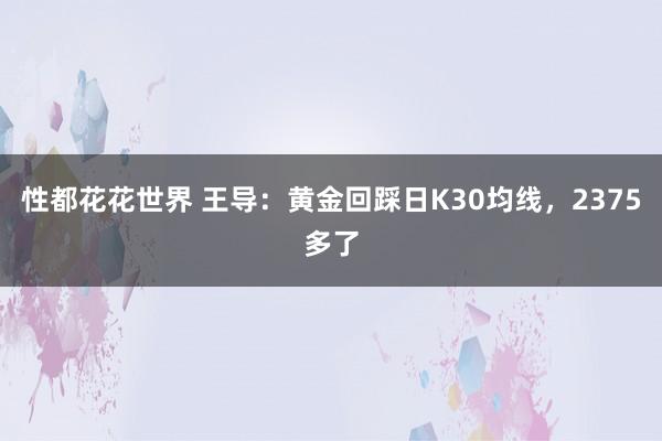 性都花花世界 王导：黄金回踩日K30均线，2375多了