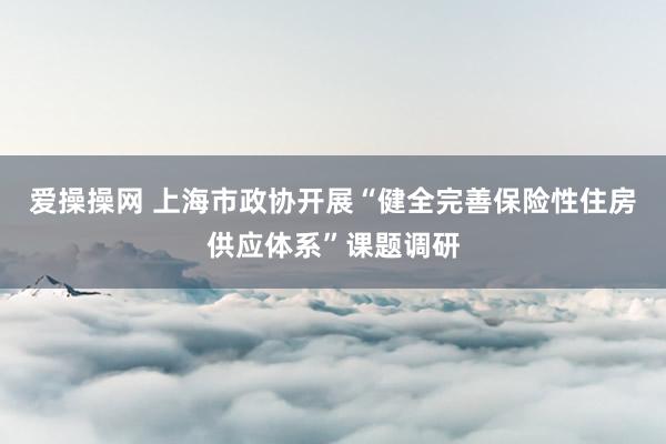 爱操操网 上海市政协开展“健全完善保险性住房供应体系”课题调研