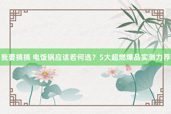 我要搞搞 电饭锅应该若何选？5大超燃爆品实测力荐