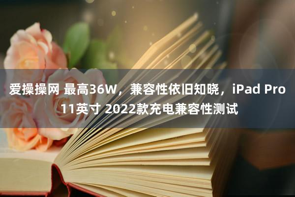 爱操操网 最高36W，兼容性依旧知晓，iPad Pro 11英寸 2022款充电兼容性测试