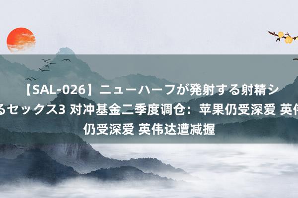 【SAL-026】ニューハーフが発射する射精シーンがあるセックス3 对冲基金二季度调仓：苹果仍受深爱 英伟达遭减握