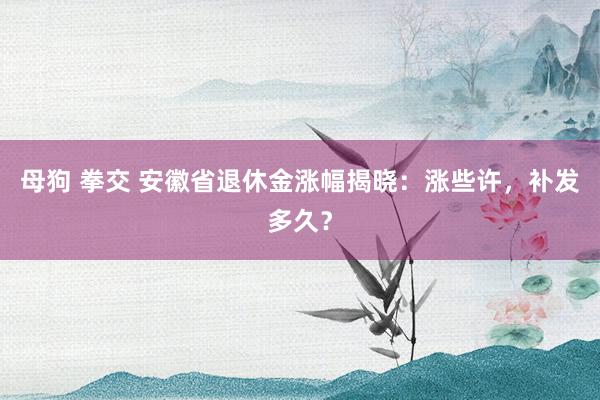 母狗 拳交 安徽省退休金涨幅揭晓：涨些许，补发多久？