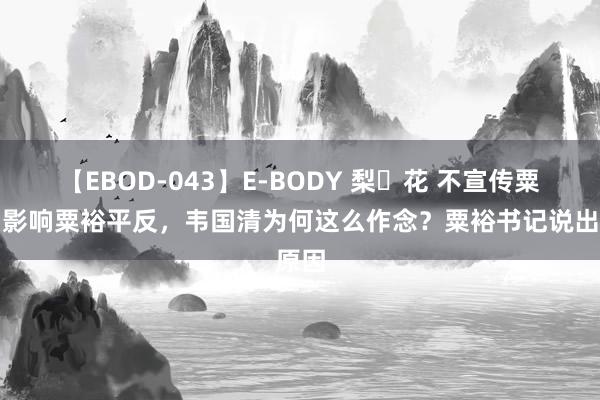 【EBOD-043】E-BODY 梨々花 不宣传粟裕，影响粟裕平反，韦国清为何这么作念？粟裕书记说出原因