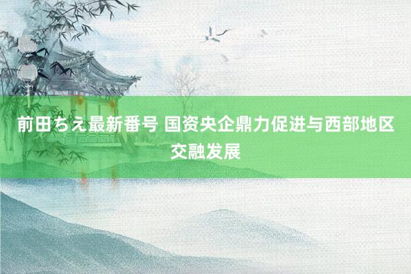 前田ちえ最新番号 国资央企鼎力促进与西部地区交融发展