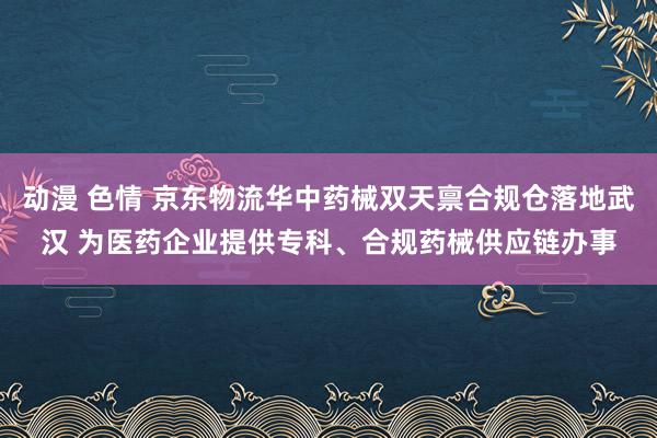 动漫 色情 京东物流华中药械双天禀合规仓落地武汉 为医药企业提供专科、合规药械供应链办事